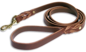 pet leash