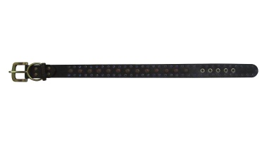 pet collar