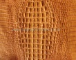 Genuine Crocodile Leather