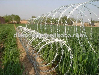 Thorn rope mesh
