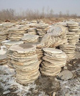 Foot Stepping Stone