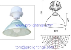 Induction high bay ligting