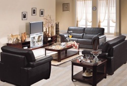 living room leather sofa
