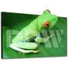 LCD Video Wall Display,video wall screen,15-82inch,DDW