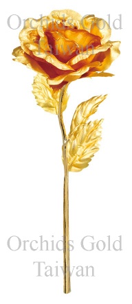 24K Gold Foil Open Rose