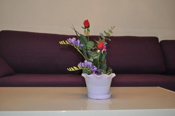 Cute lotus Flower Pots Cheap in 145*85*95 mm