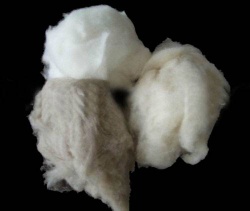 100% Cashmere fiber - YM-001