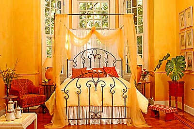 Canopy iron bed