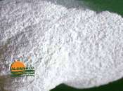Talc