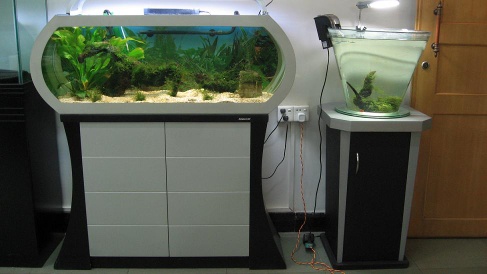 Aquariums - HM
