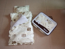 baby carrier - 94008