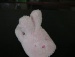 baby shoes - baby shoes