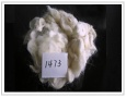 wool