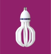 pear shaped energy saving lamp