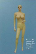 mannequin
