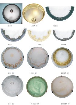 oyster