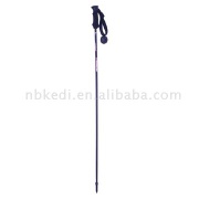 carbon ski pole
