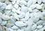 Organic Soy bean