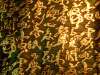 Chinese Brocade