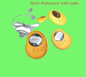 Pedometer