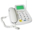 GSM Fixed Wireless Terminal