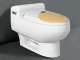 one-piece toilet