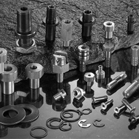 Track rollers with Gothic arch groove