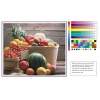 PP Matte Paper (Waterproof)