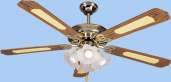 ceiling fan