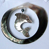 Feng Shui Dolphin