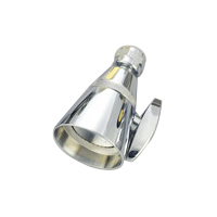 Brass Showerhead