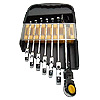Flexible Combination Ratchet Wrench (Kit)