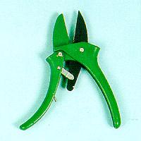 Zhe Jiang Dongyuan Tools Group Ltd., Corp.