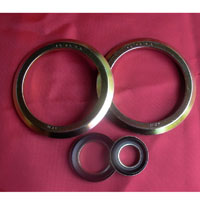 gamma seal
