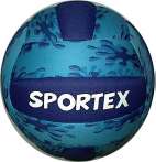Volley ball
