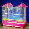 Birds Cage  - 3127