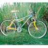 Harbinger 26" Shimano STX-RC