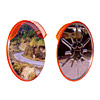 Stainless Steel Mirror